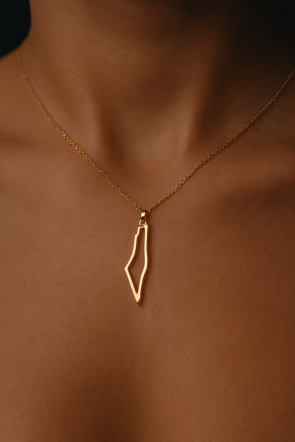 Gold Palestine Outline Necklace