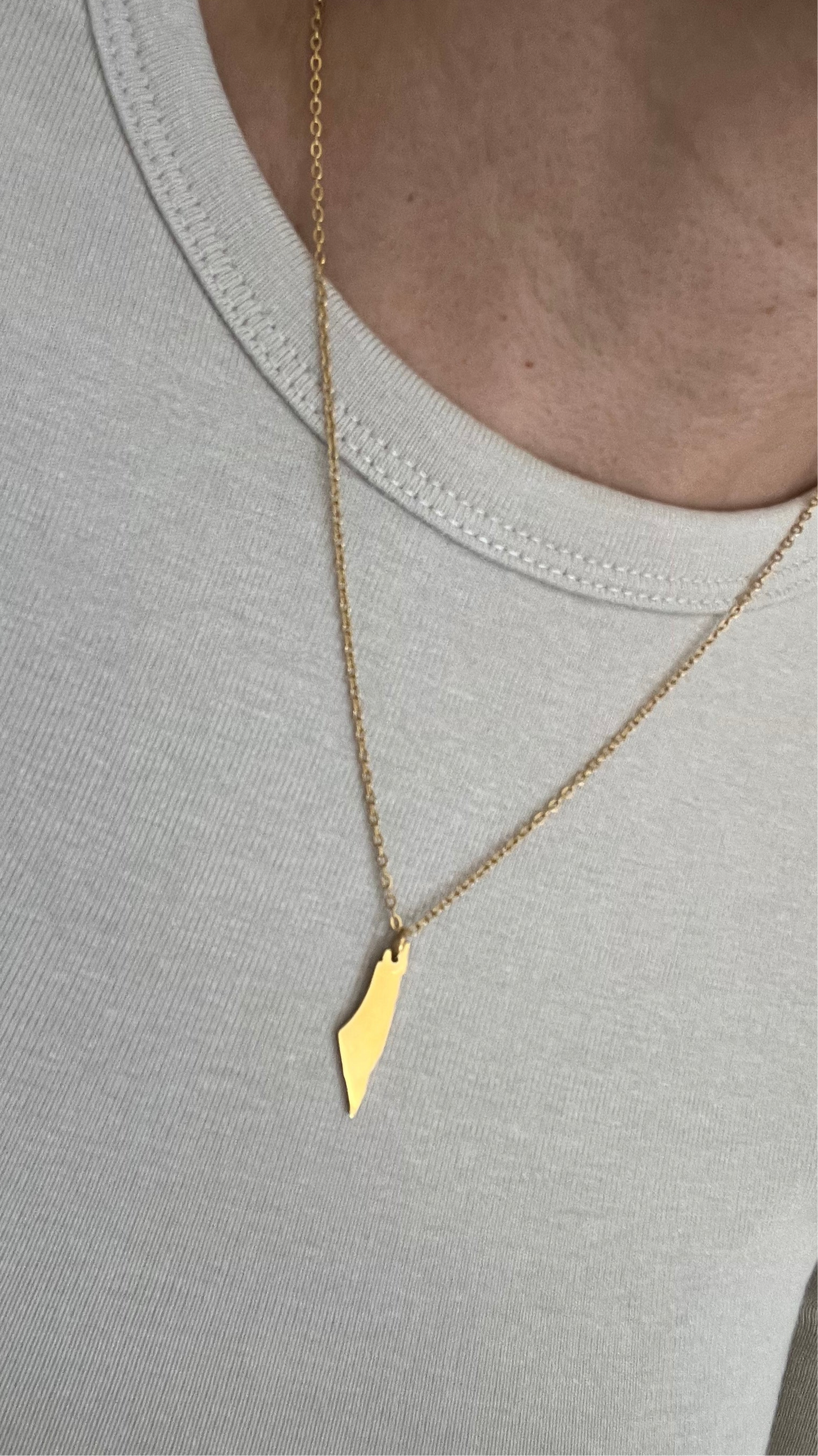 Dainty Palestine Necklace - 18k Gold Plated