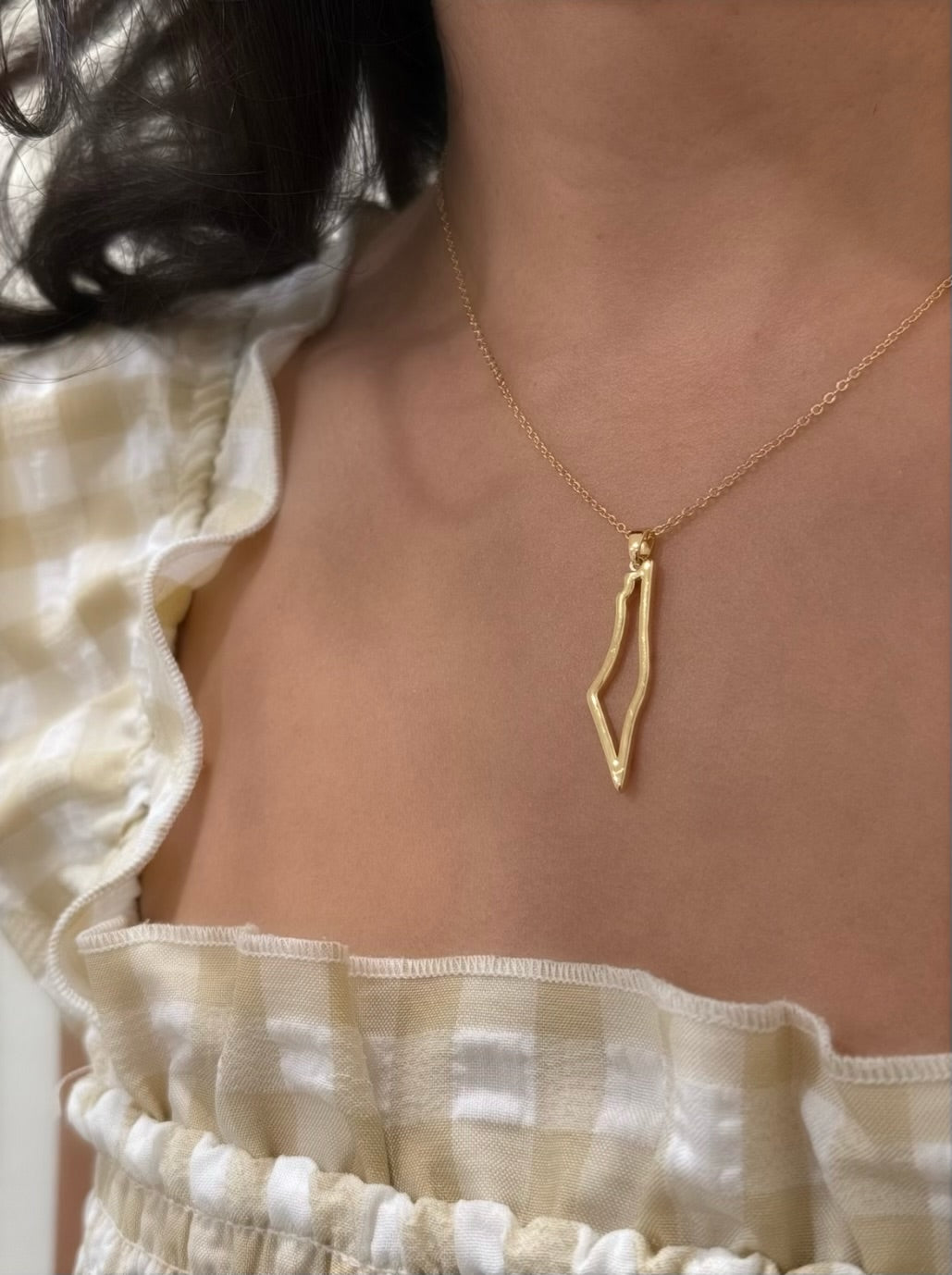 Gold Palestine Outline Necklace