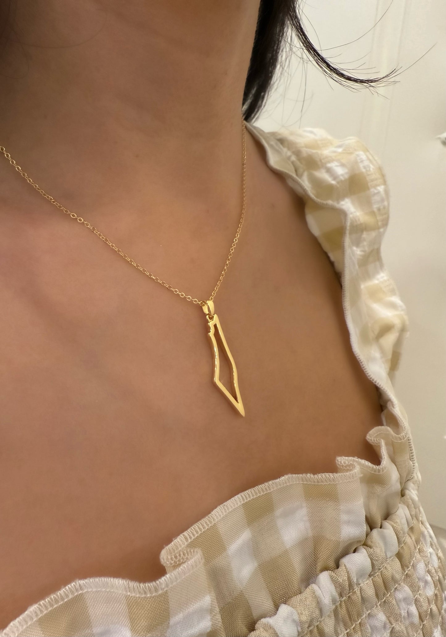 Gold Palestine Outline Necklace