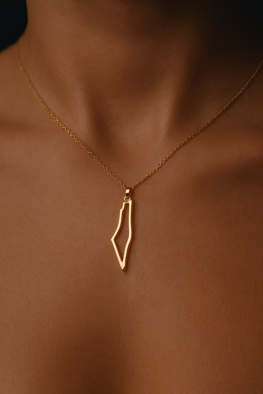 Gold Palestine Outline Necklace